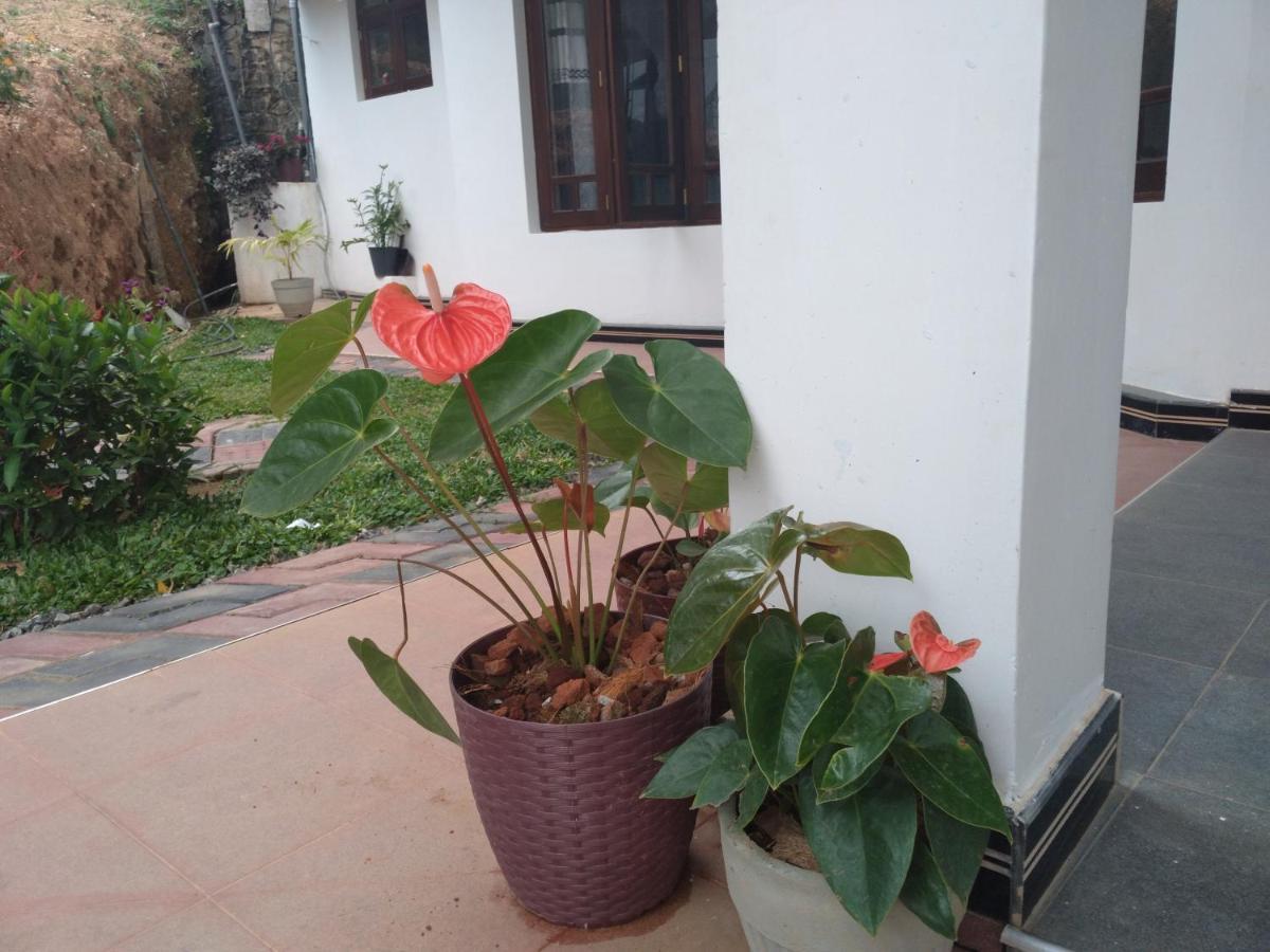 Holly House Homestay Ella Extérieur photo